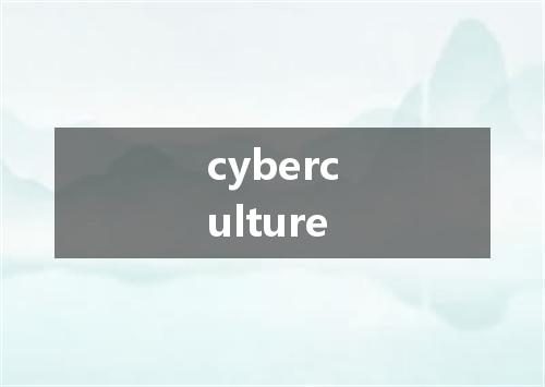 cyberculture是什么意思