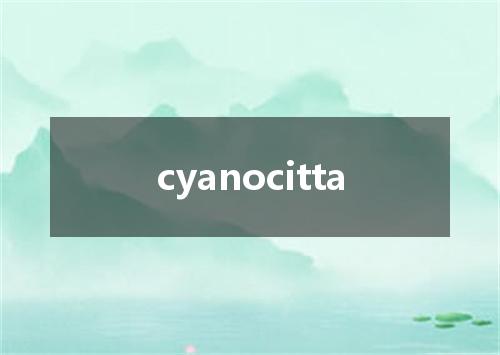 cyanocitta是什么意思