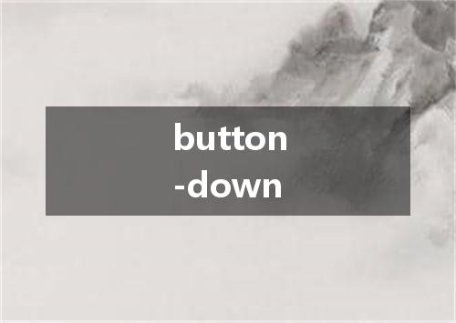 button-down是什么意思