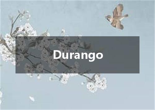 Durango是什么意思