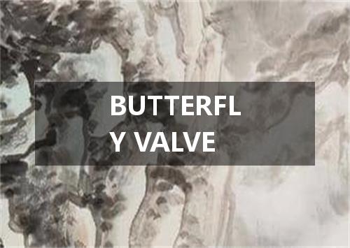 BUTTERFLY VALVE是什么意思