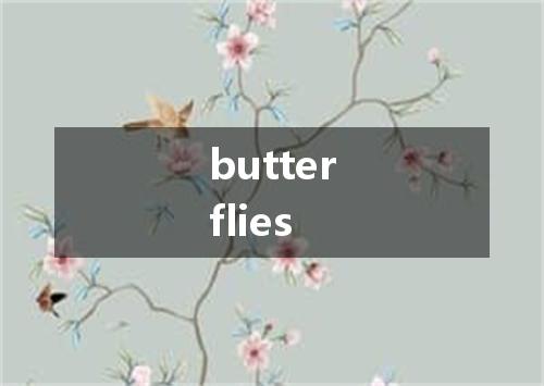 butterflies是什么意思