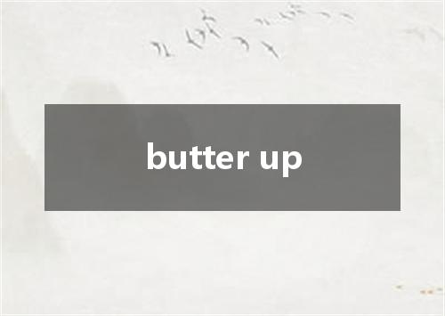 butter up是什么意思