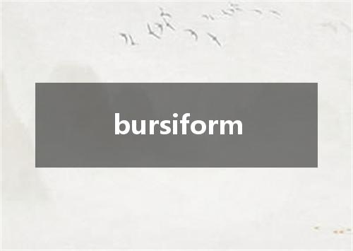 bursiform是什么意思