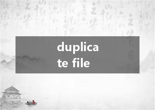 duplicate file是什么意思