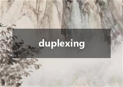 duplexing是什么意思