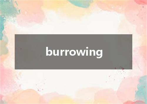 burrowing是什么意思