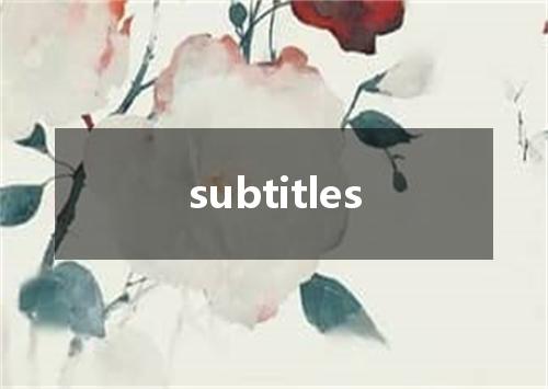 subtitles是什么意思