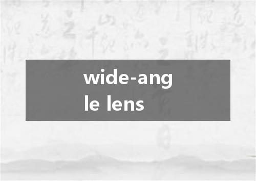 wide-angle lens是什么意思