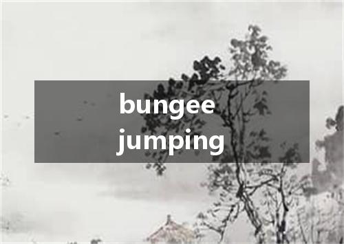 bungee jumping是什么意思