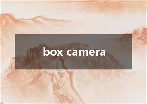 box camera是什么意思
