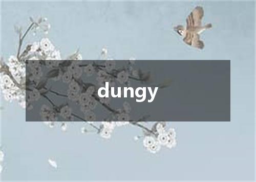 dungy是什么意思