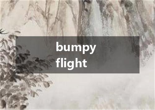 bumpy flight是什么意思