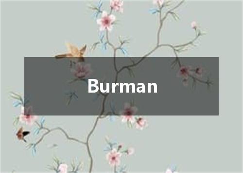 Burman是什么意思