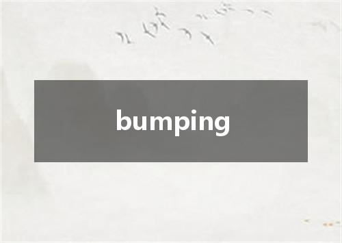 bumping是什么意思
