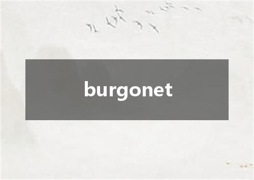 burgonet是什么意思