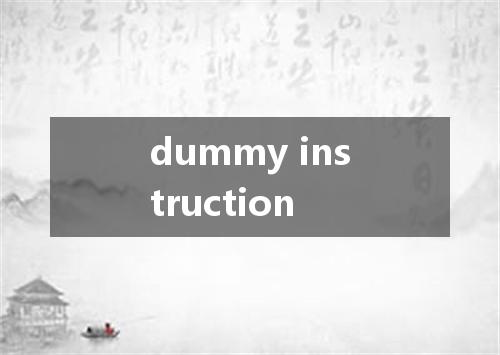 dummy instruction是什么意思