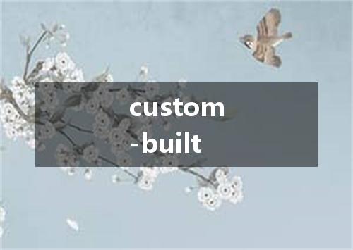 custom-built是什么意思