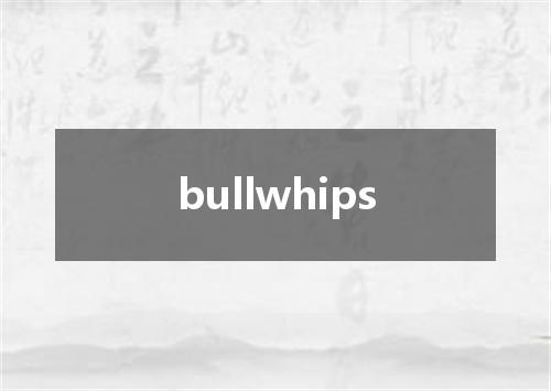 bullwhips是什么意思
