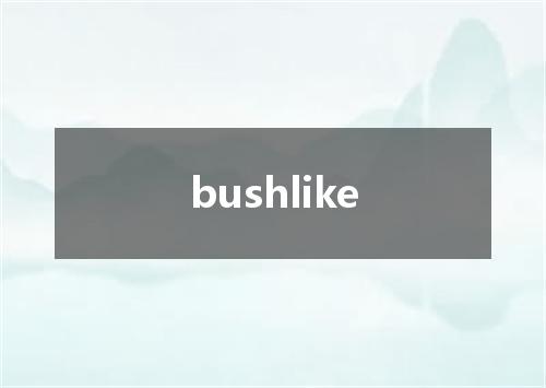 bushlike是什么意思