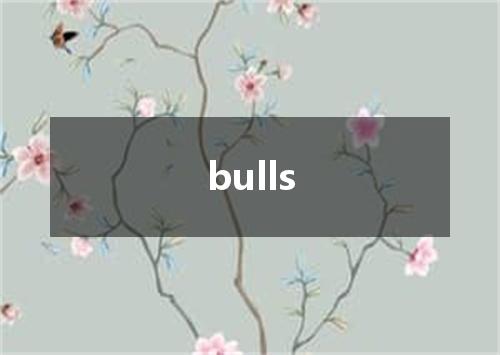 bulls是什么意思