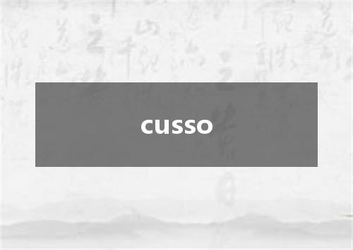cusso是什么意思