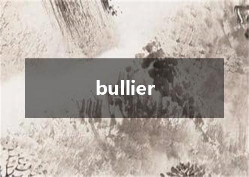 bullier是什么意思