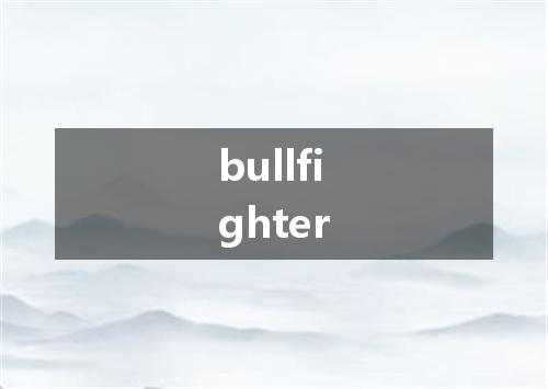 bullfighter是什么意思