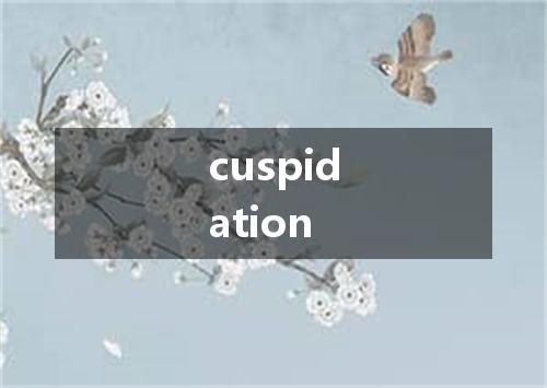 cuspidation是什么意思