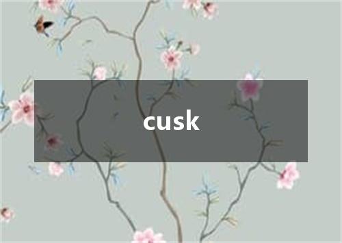 cusk是什么意思