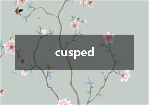 cusped是什么意思