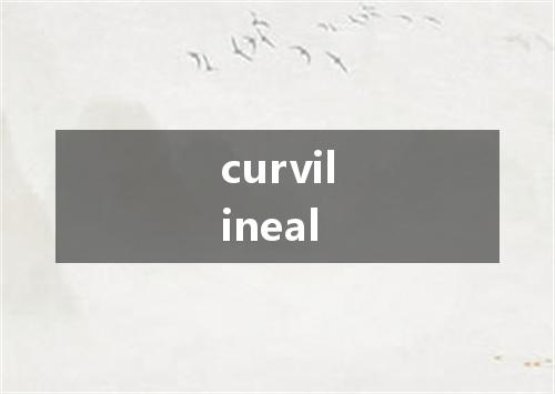 curvilineal是什么意思