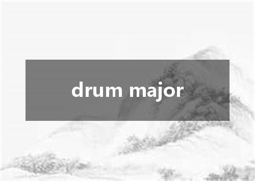 drum major是什么意思
