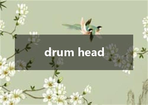 drum head是什么意思