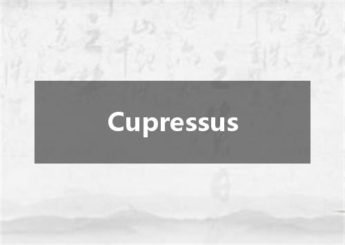 Cupressus是什么意思