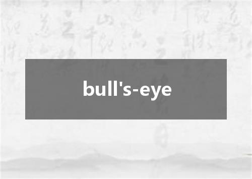 bull's-eye是什么意思