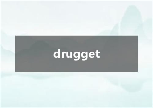 drugget是什么意思