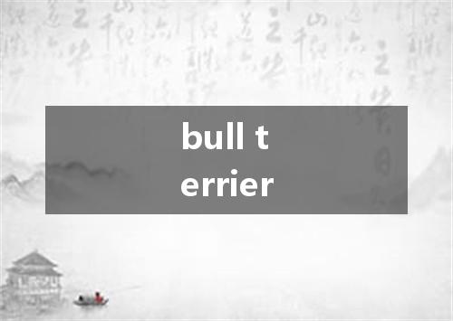 bull terrier是什么意思