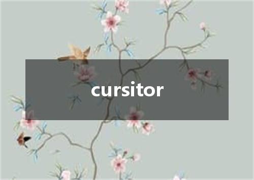 cursitor是什么意思