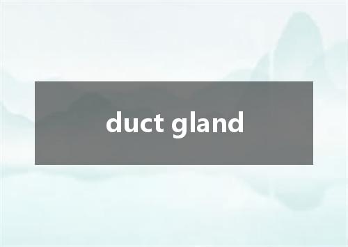 duct gland是什么意思
