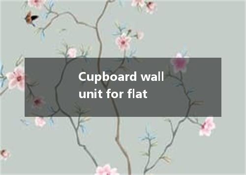 Cupboard wall unit for flat是什么意思