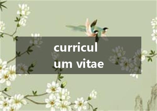 curriculum vitae是什么意思