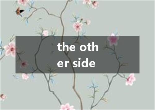 the other side是什么意思