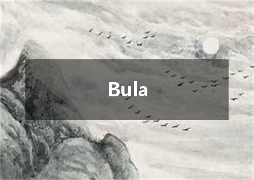 Bula是什么意思