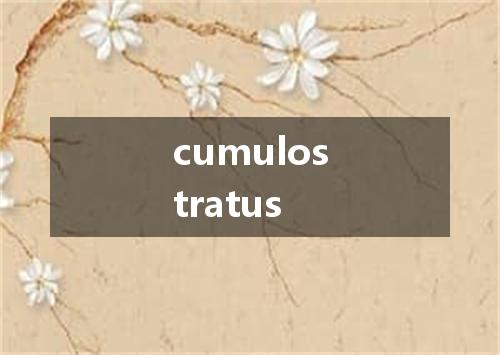 cumulostratus是什么意思