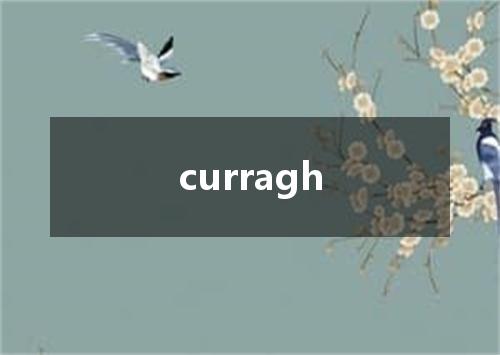 curragh是什么意思