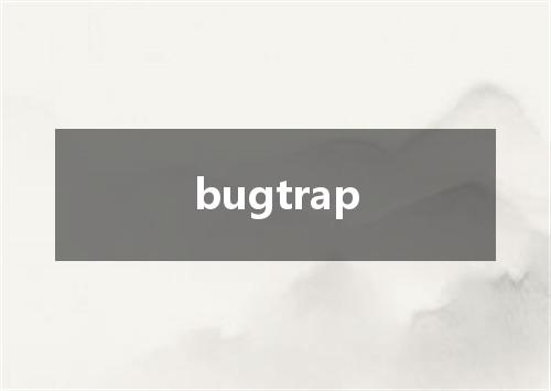 bugtrap是什么意思