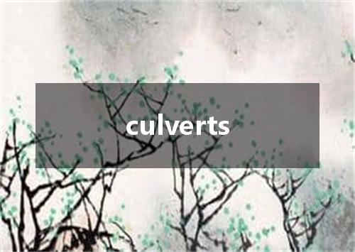 culverts是什么意思