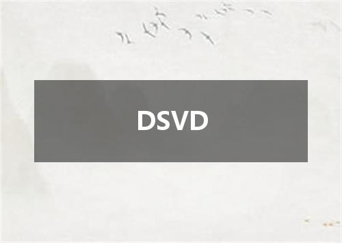 DSVD是什么意思