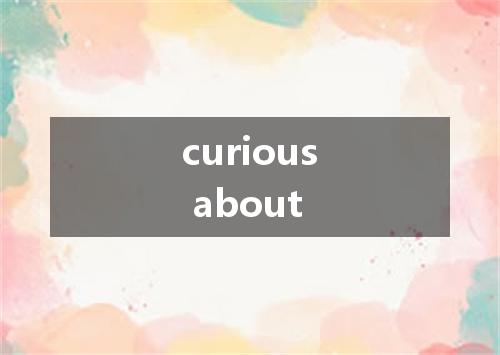 curious about是什么意思